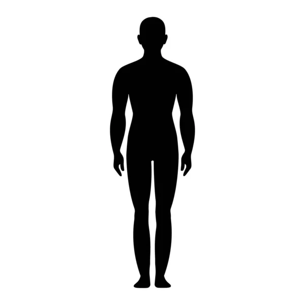 男性解剖学人間のキャラクターフロントとサイドビューボディシルエット 白で隔離されました フラットベクトルイラスト 黒とアウトラインマネキンの概念 — ストックベクタ