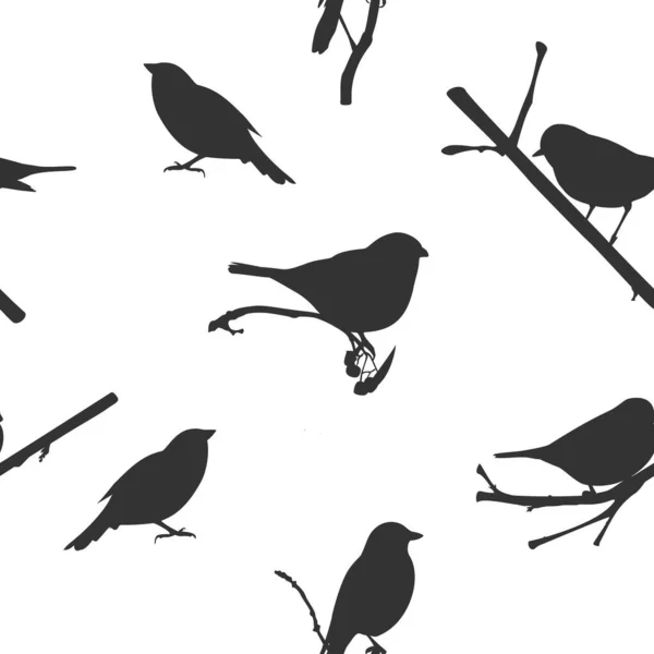 Modèle Sans Couture Vectoriel Fond Avec Des Oiseaux — Image vectorielle