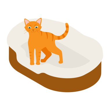 Beyaz arka planda izole edilmiş yumuşak yatak yastığındaki kızıl kedi. Isome Manzarası. Vektör