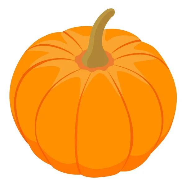 Una Sola Calabaza Naranja Fresca Aislada Sobre Fondo Blanco Vista — Vector de stock