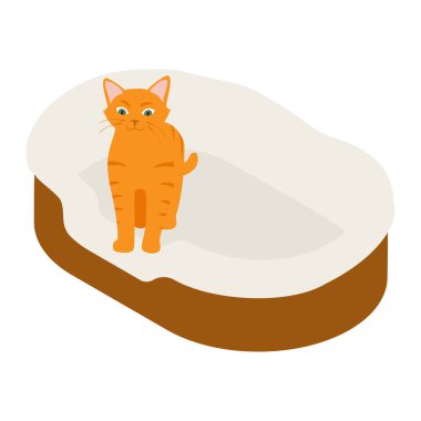 Beyaz arka planda izole edilmiş yumuşak yatak yastığındaki kızıl kedi. Isome Manzarası. raster