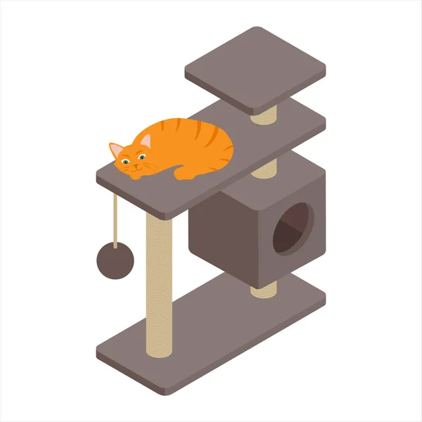 Cute Ginger Cat Playing Tree Home Isolated White Background Isometric — Stock Photo, Image