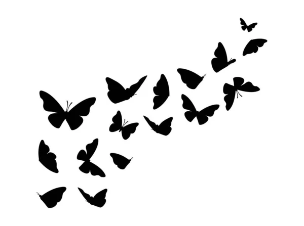Schmetterlingsdesign Schwarze Silhouette Schmetterlinge Isoliert Auf Weißem Hintergrund Vektor — Stockvektor