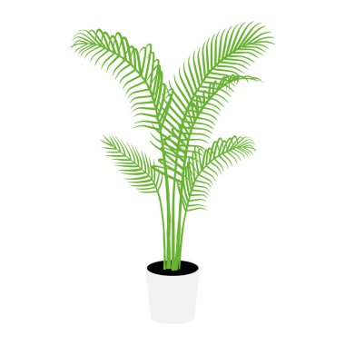 Beyaz arka planda beyaz tencerede bulunan palmiye ağacı bitkisi. Vektör