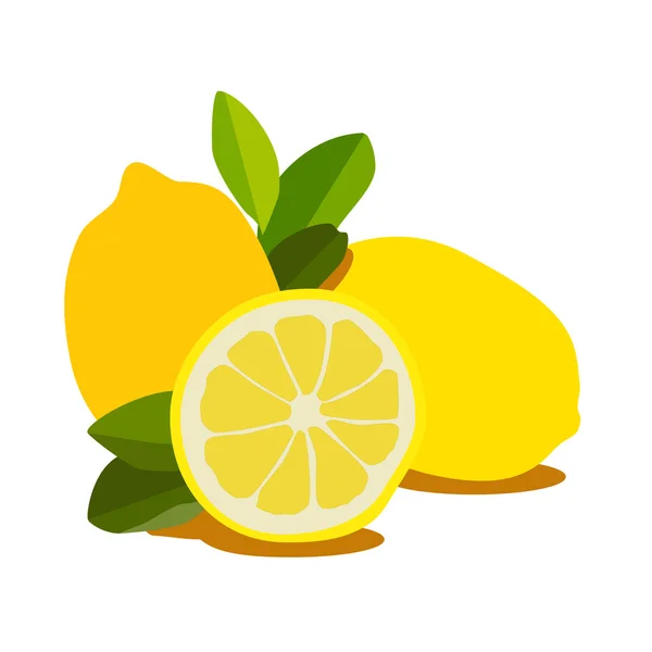 Zitronenfrucht — Stockvektor
