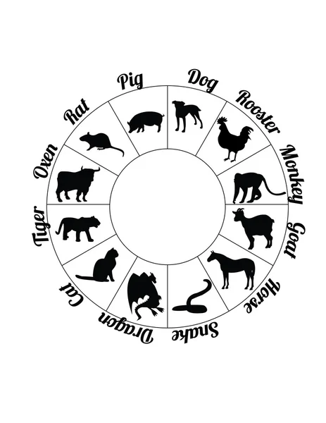 중국의 십이궁 — 스톡 벡터