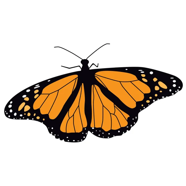 Monarchfalter — Stockvektor