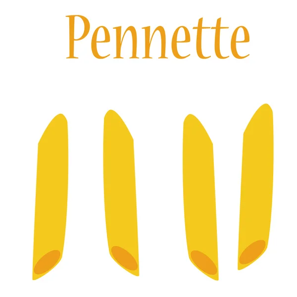 Pennette pasta — Stock Vector