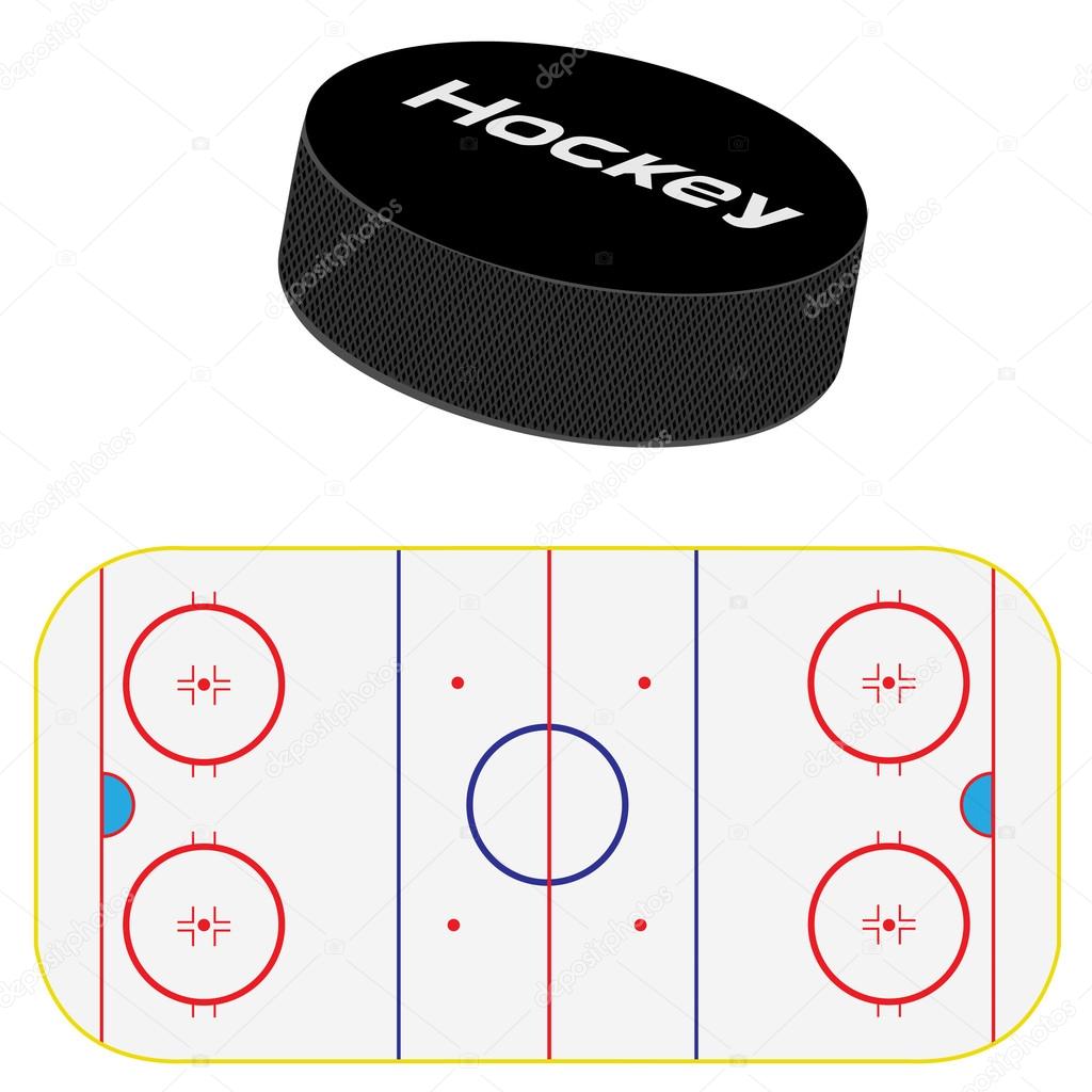 Hockey field and puck