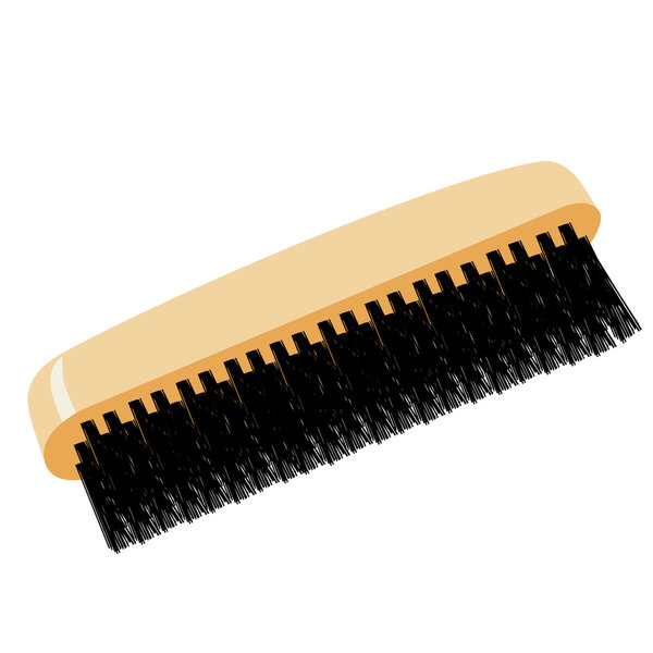 Shoe brush