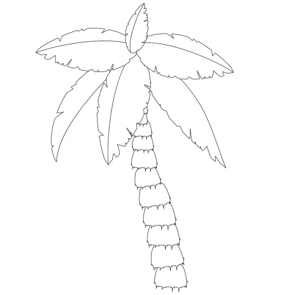 Palmiye ağacı anahat çizimler — Stok Vektör
