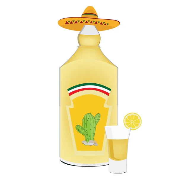 Bouteille de tequila et shot — Image vectorielle