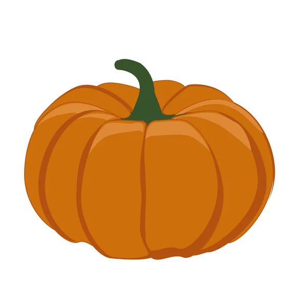 Pumpkin — Stock Vector