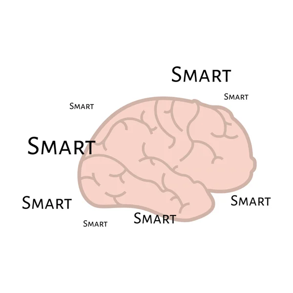 Cérebro inteligente — Vetor de Stock