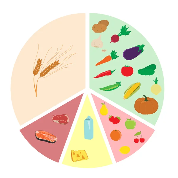 健康饮食图表 — 图库矢量图片