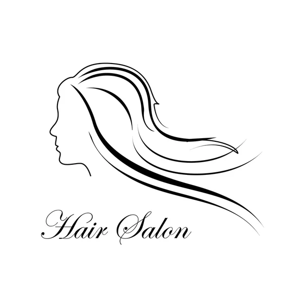 Hair salon vector — Stock Vector