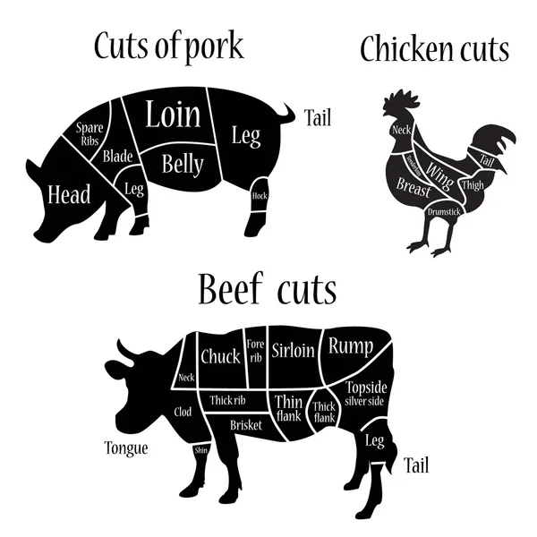 Butcher chart vector — Stock Illustration Butcher chart vector Stock Illustration