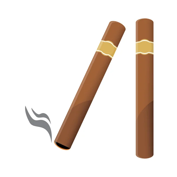 Two cigars vector — Stock Vector