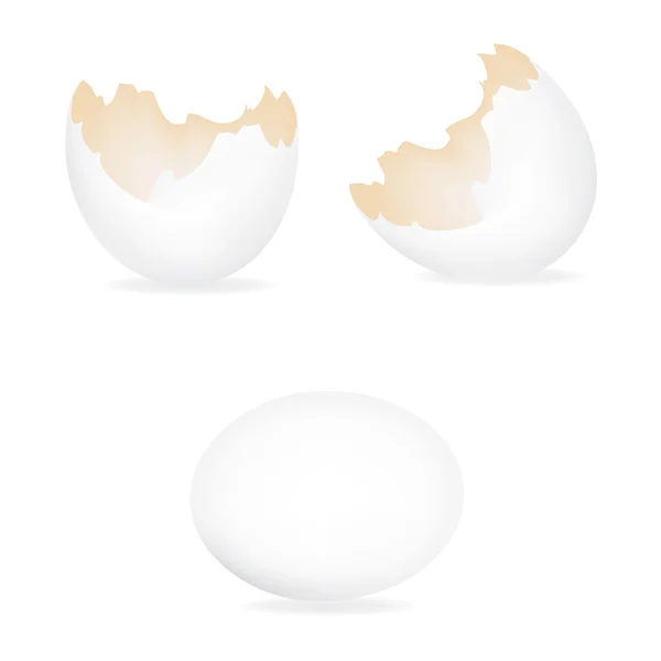 Vettore delle uova bianche — Vettoriale Stock