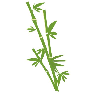 Bambu ağacı raster