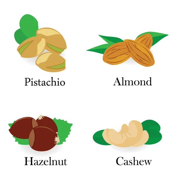 Colección de vectores de frutos secos — Vector de stock