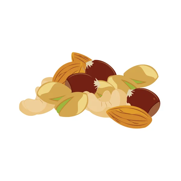 Mixed nuts vector — Stock Vector