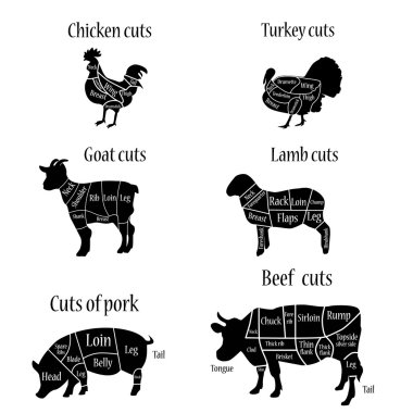 Kasap grafik şeması