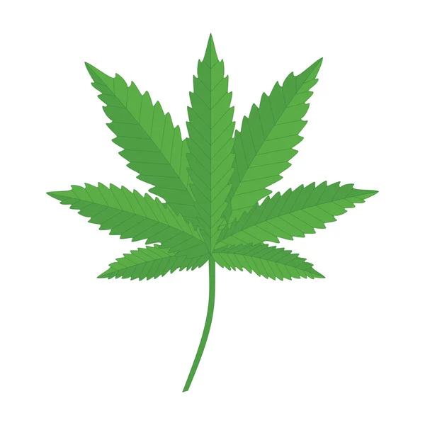 Canabis médicament en feuilles — Image vectorielle