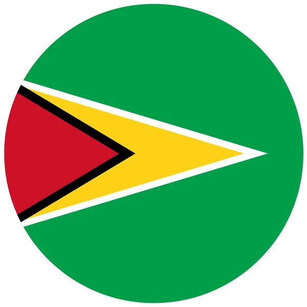 Guyana-Flaggenvektor — Stockvektor