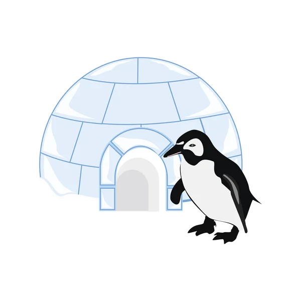 Χιόνι κατοικία igloo και penguin — Διανυσματικό Αρχείο