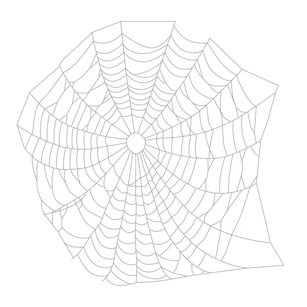 Spider web nebo síť — Stockový vektor