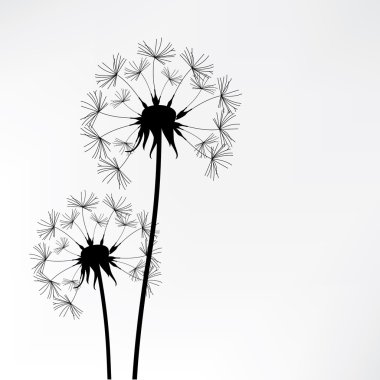 İki dandelions vektör