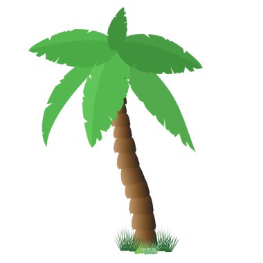 Palmiye ağacı raster