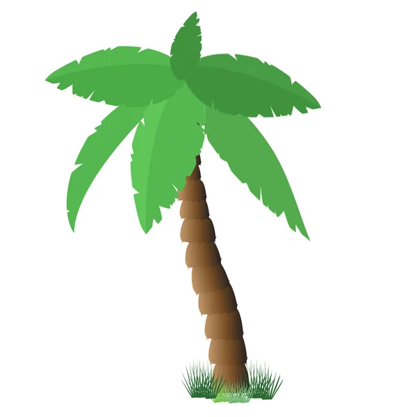 Palmiye ağacı raster — Stok fotoğraf