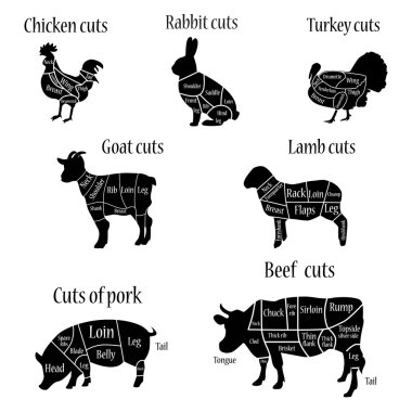 Kasap grafik şeması