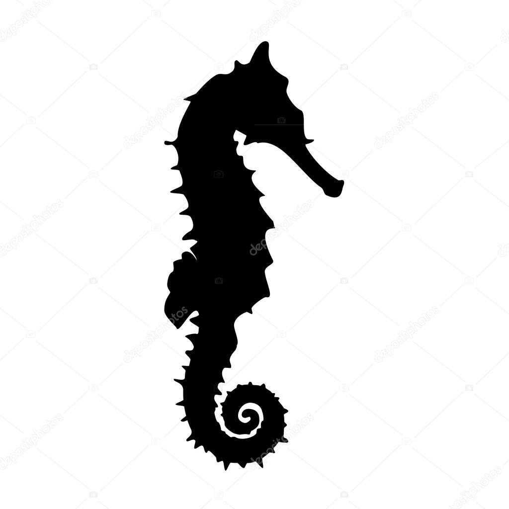 Vector illustration  black silhouette of sea horse. Seahorse icon isolated on white background.