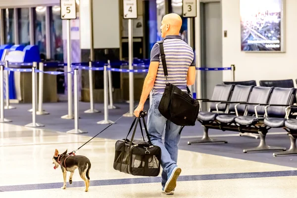 Man walking his dog in an airport — Stock Photo, Image