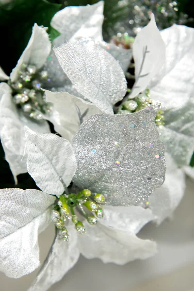 Decorazioni natalizie - argento e bianco Poinsettia — Foto Stock