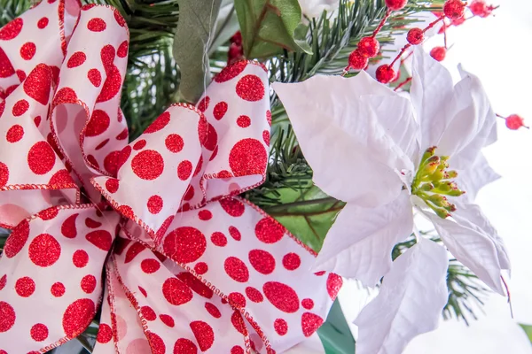 Різдвяні прикраси - білий Poinsettia з червоними та білими бантом — стокове фото
