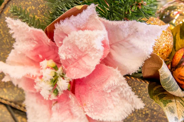 Різдвяні прикраси - рожевий Poinsettia — стокове фото