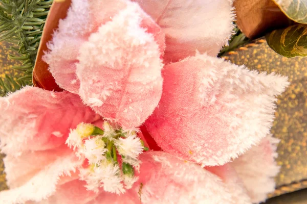 Різдвяні прикраси - рожевий Poinsettia — стокове фото