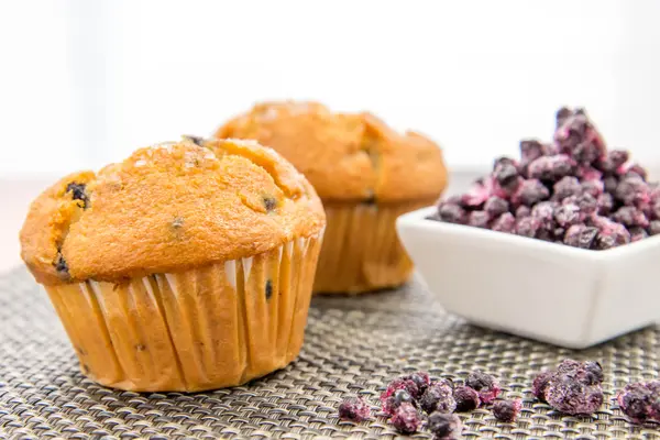 Färska blueberrry muffins — Stockfoto