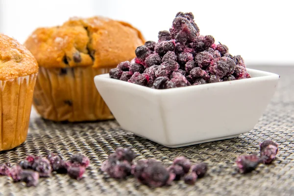 Verse blueberrry muffins — Stockfoto