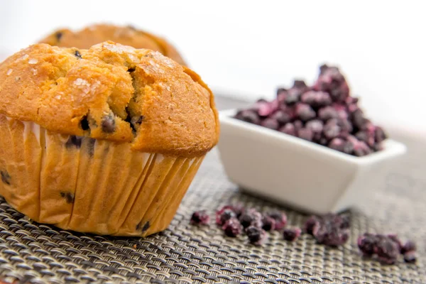 Muffins φρέσκο blueberrry — Φωτογραφία Αρχείου