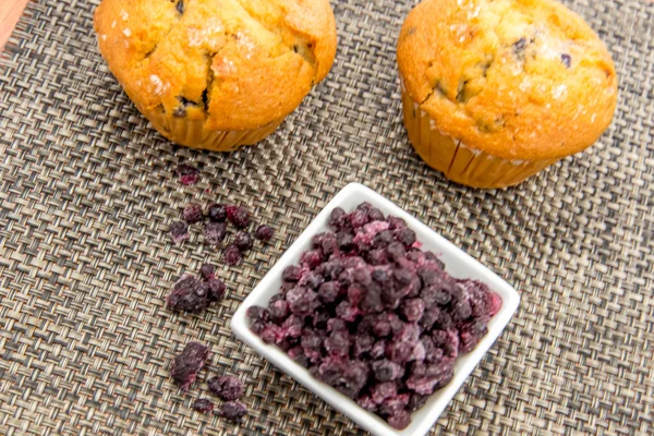 Muffins φρέσκο blueberrry — Φωτογραφία Αρχείου