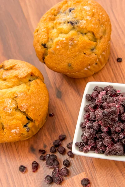 Färska blueberrry muffins — Stockfoto