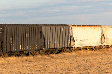 bir tren ve altın sahası ile kırsal manzara