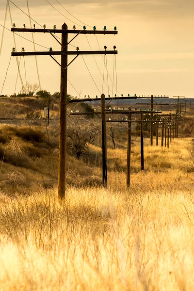 Power line on wood poles running through golden fields — Stock Photo, Image