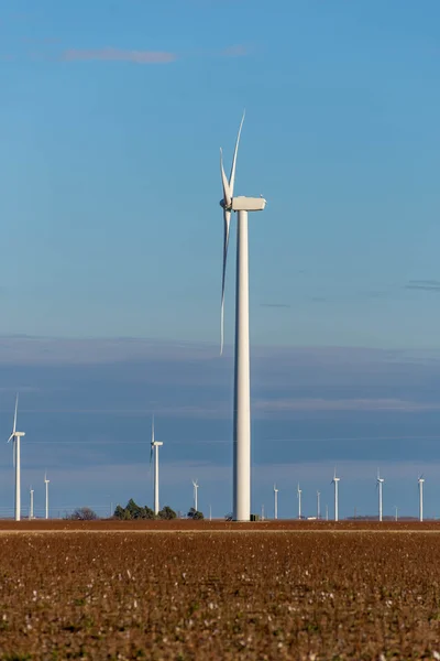 Förnybar energi - vindkraftverk med bomullsfält i foreg — Stockfoto