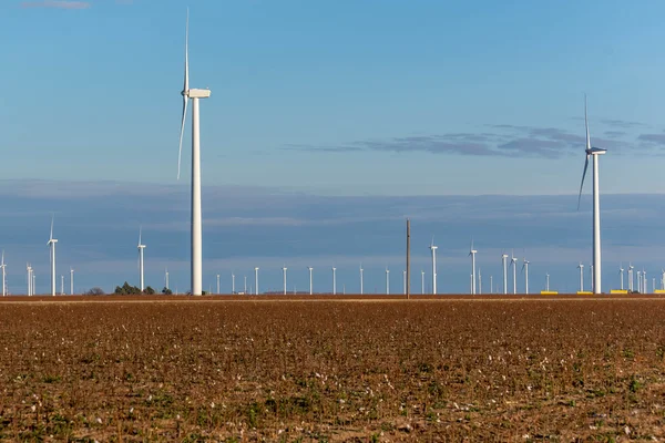 可再生能源 — — 风力涡轮机与棉田里 foreg — 图库照片